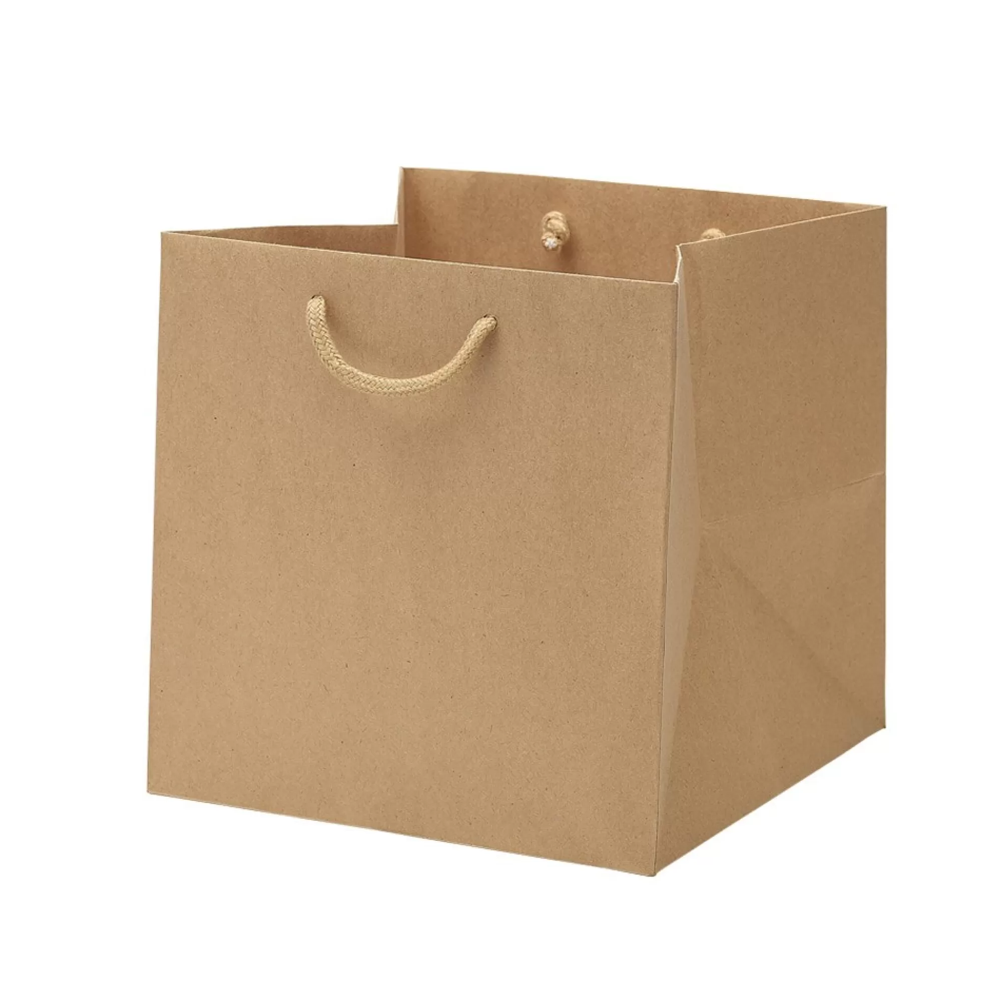 Best Draagtas Papier 25X25X25Cm Gerecycleerd Kraft Bruin 150G/M + Katoenen Koord 10 Stuks Zakken