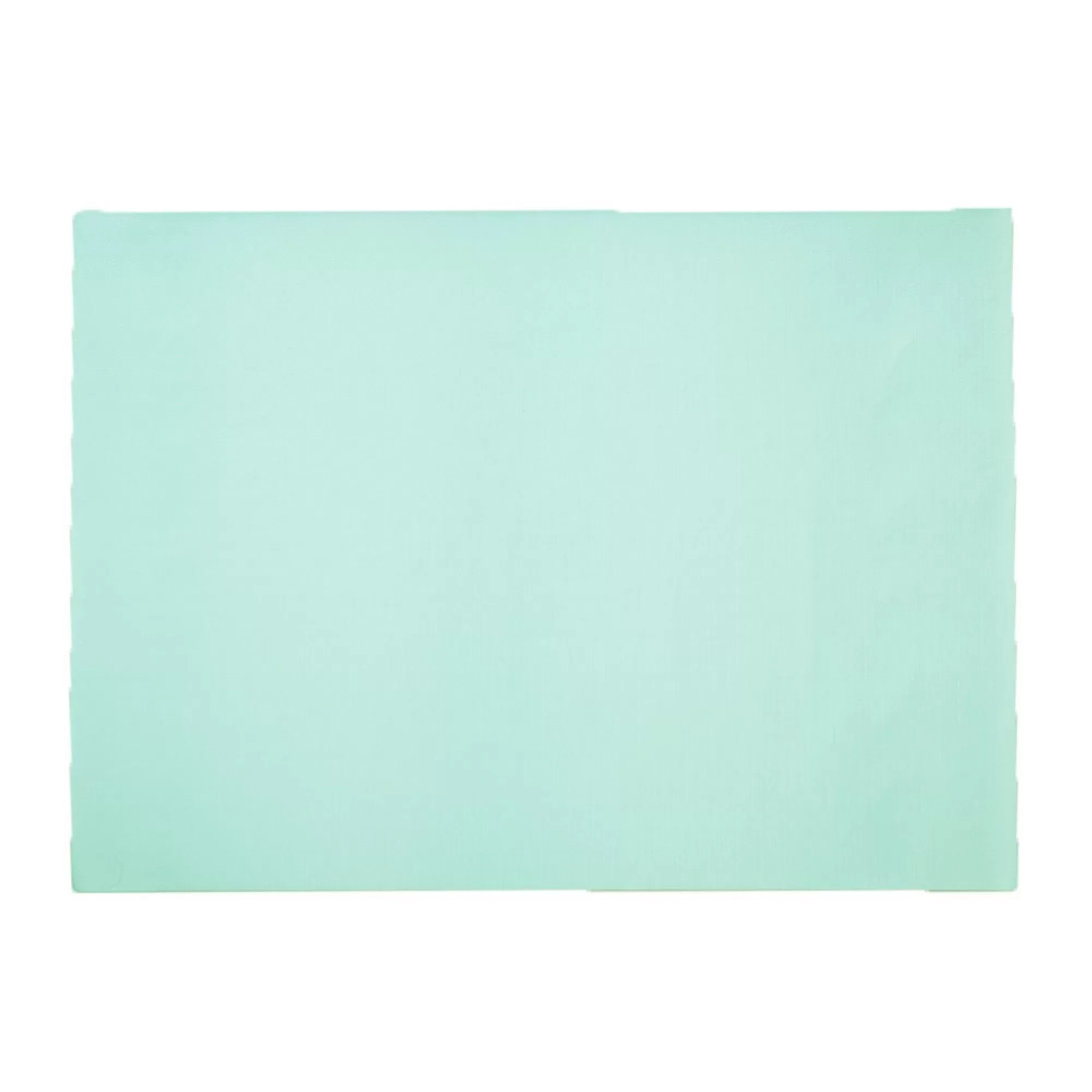 Hot Placemat Aqua 30X43Cm 60G/M 500 Stuks Placemats