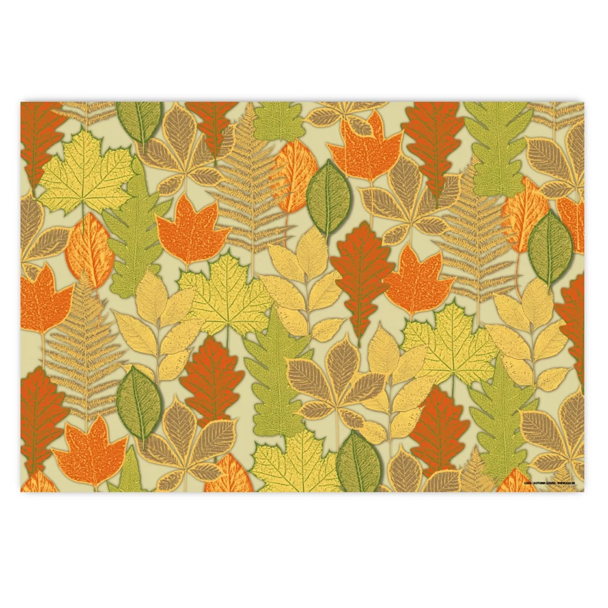 Store Placemat Autumn Leaves 30X43Cm 60G/M 50 Stuks Placemats