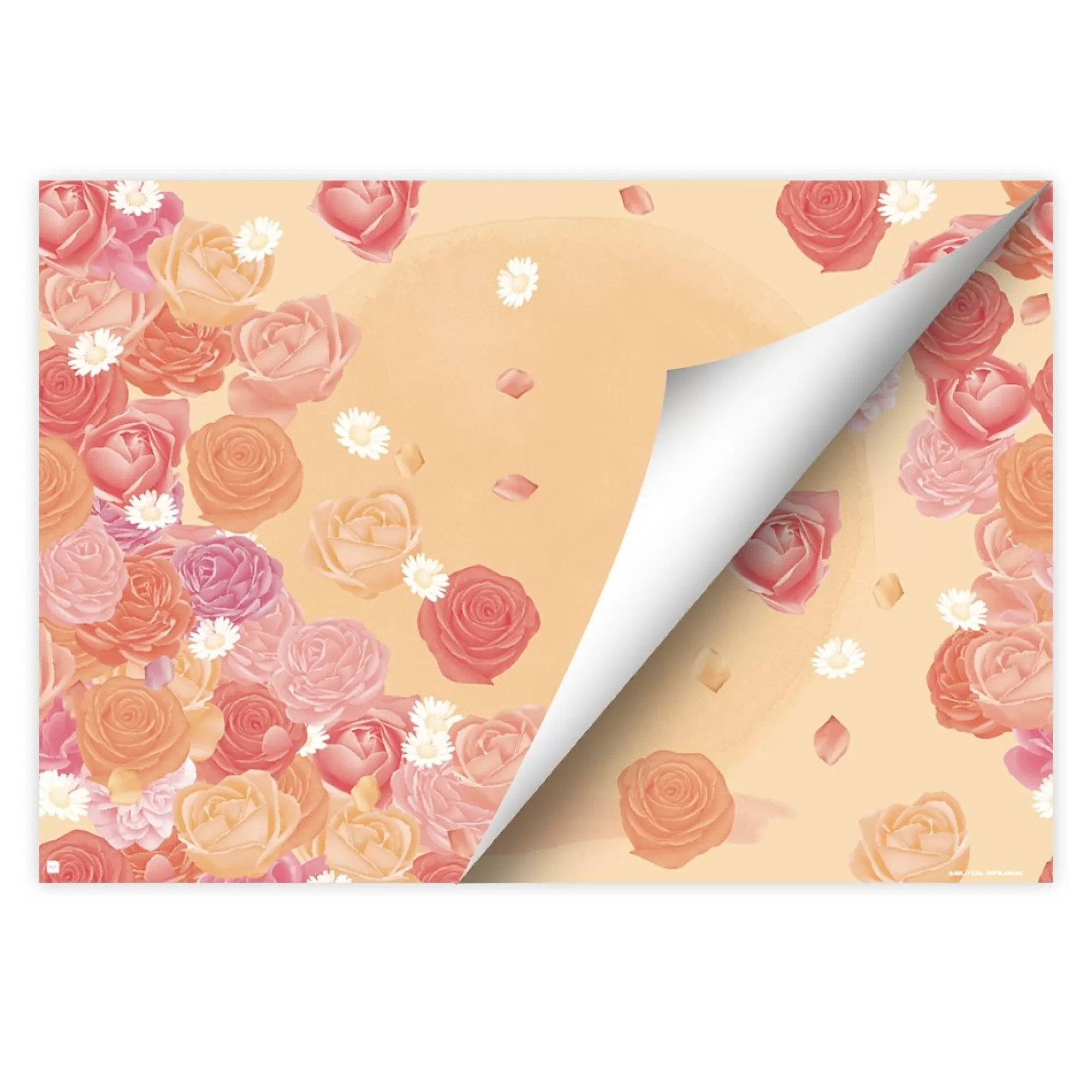 Online Placemat Fiori 30X43Cm 60G/M 50 Stuks Placemats