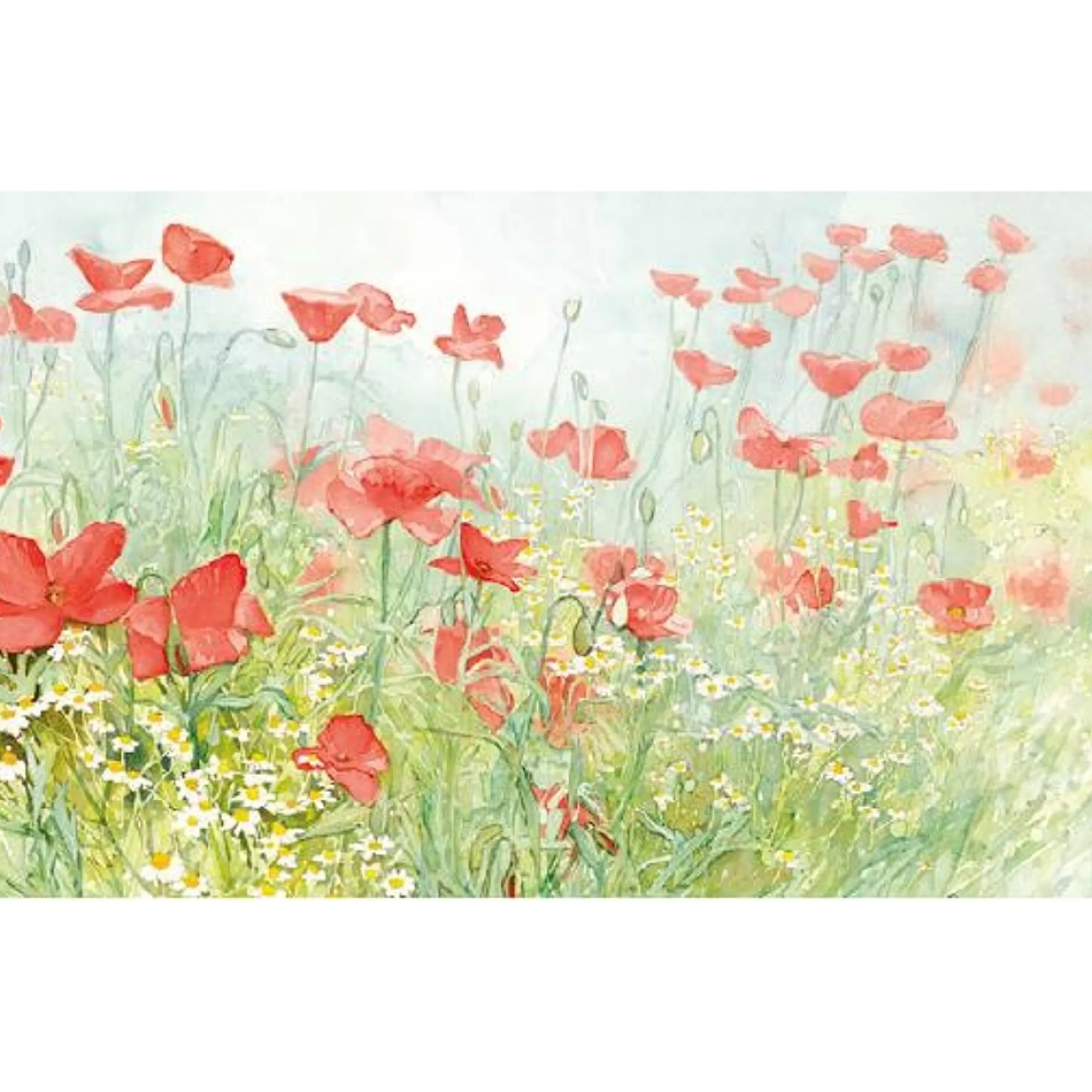 Flash Sale Placemat Poppies 30X43Cm 60G/M 50 Stuks Placemats