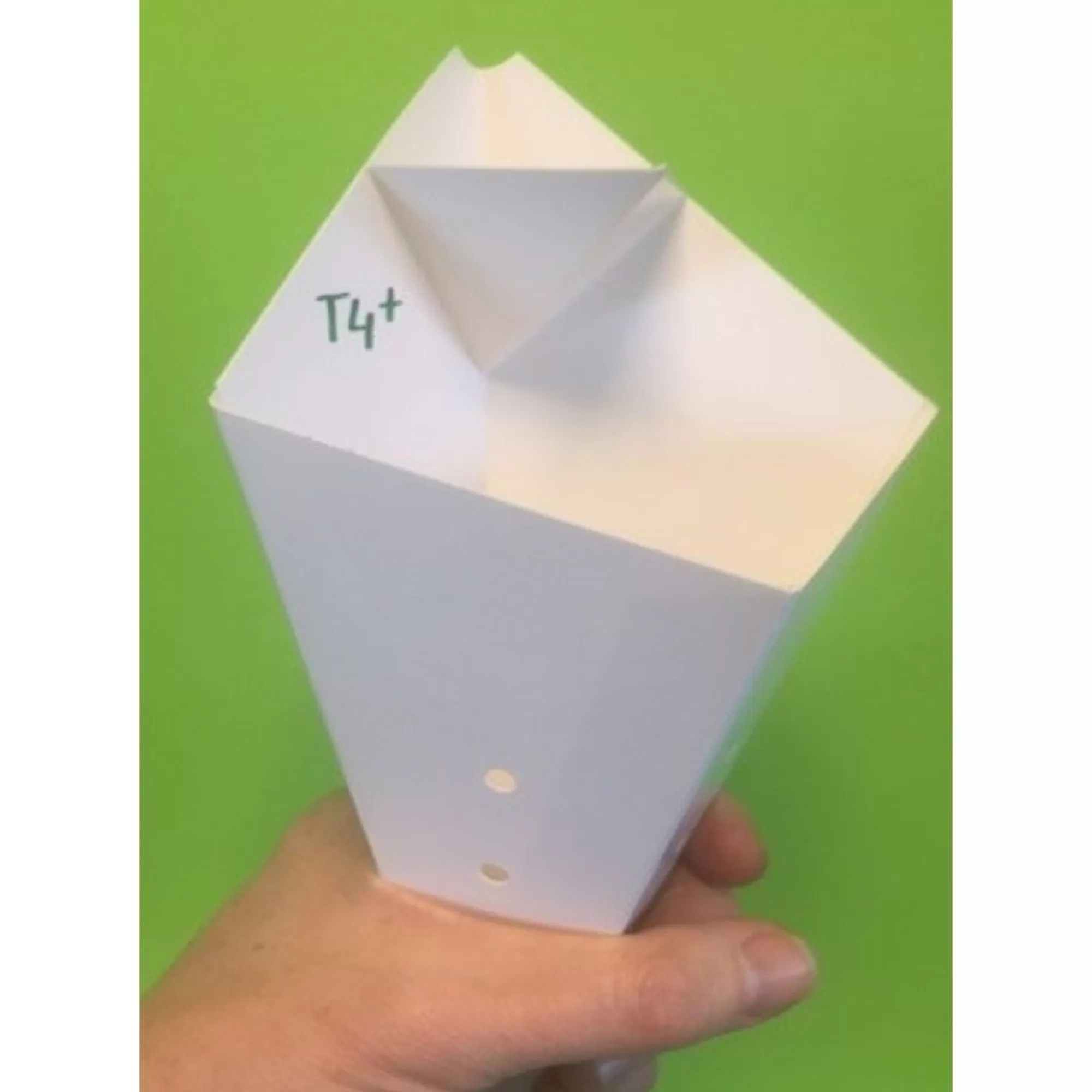 Clearance Kartonnen Puntzak Voor Frieten + Sausvak + Luchtgaten 26X16Cm 50 Stuks Take-Away