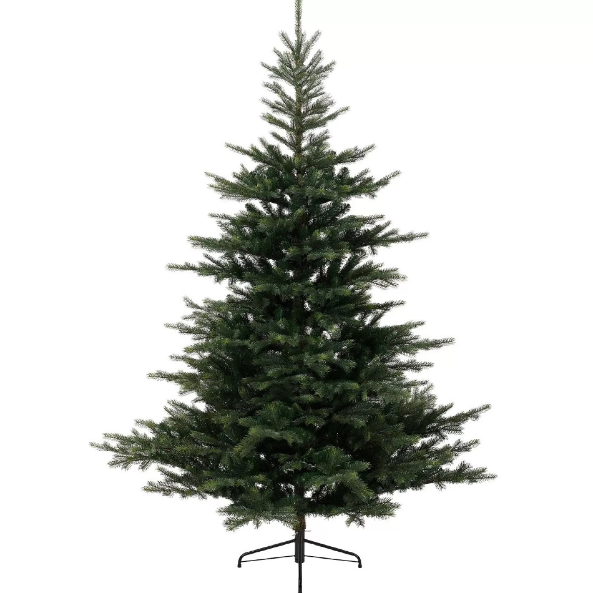 New Kerstboom Grandis Fir H 180Cm 132Cm 1559 Tips Grote Kerstbomen