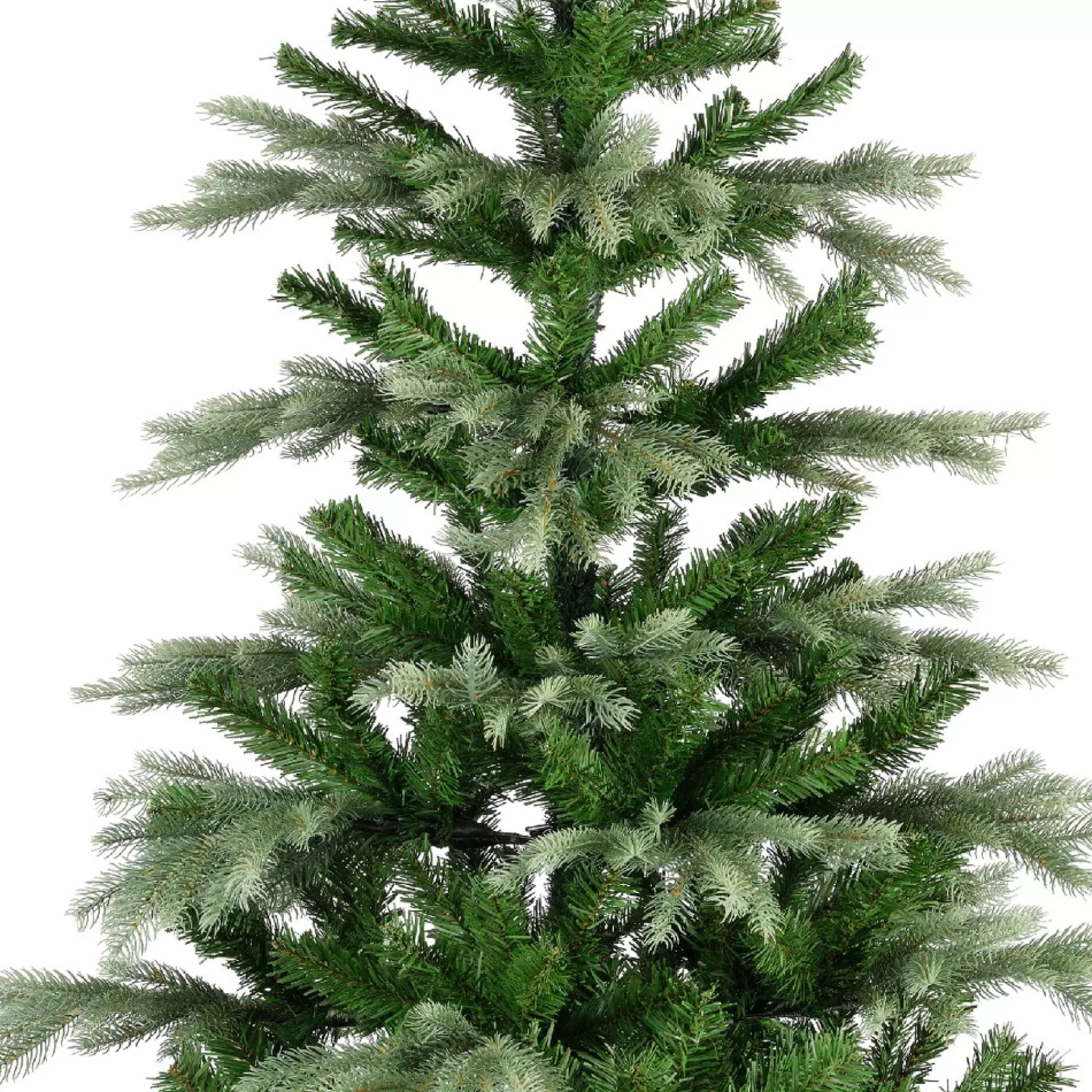 Hot Kerstboom Sunndal Fir H 180Cm 105Cm 1212 Tips Grote Kerstbomen