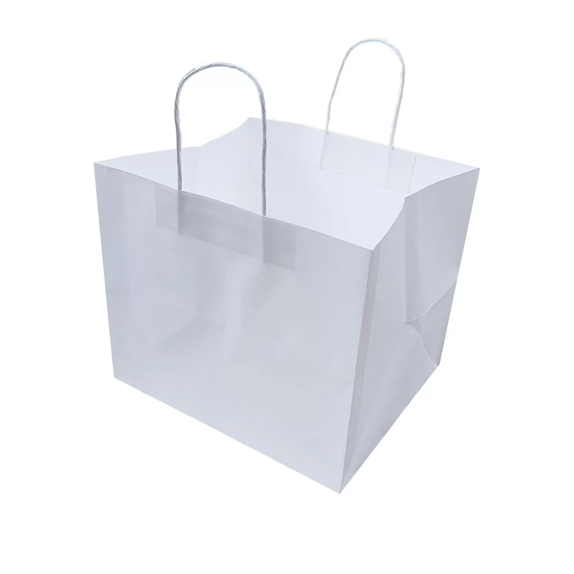 Outlet Lunchtas 35X30X30Cm Wit 150G/M + Gedraaid Handvat 10 Stuks Zakken