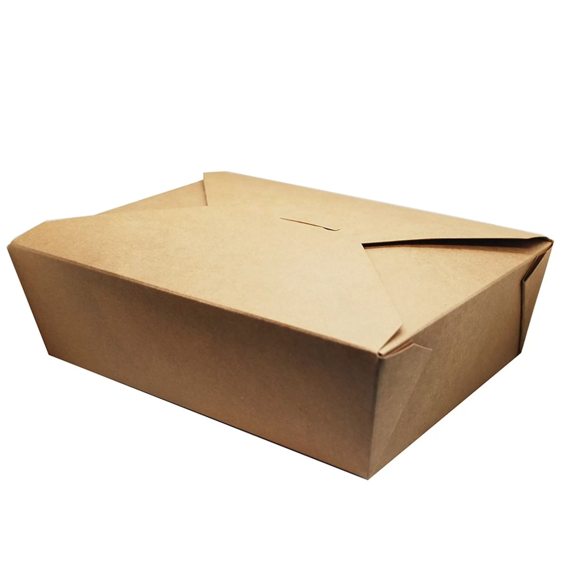 Discount Take Away Box 1.9L Rechthoekig Met Pe Coating 21,5X15,5X6,5Cm Bruin Microgolf 25 Stuks Take-Away